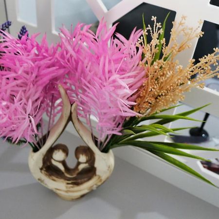 Cozy Flowers Studio Braszów Zewnętrze zdjęcie